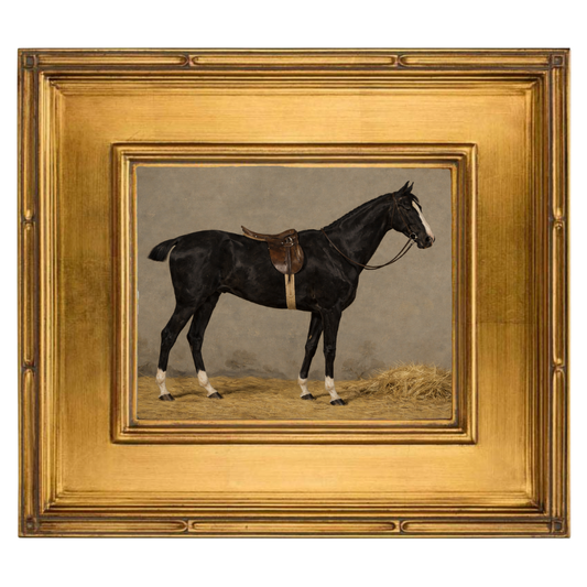 "Saddled Black Horse Study" in solid wood, museum quality gold frame, 9"x 12"