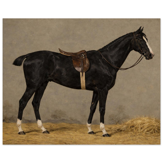 c8a93e58-b94d-43e6-896b-45bb1d05f39b